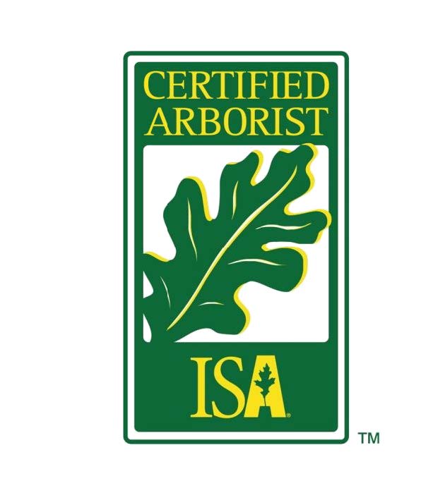 Certified Arborist - Trautman Lawn & Landscape Company